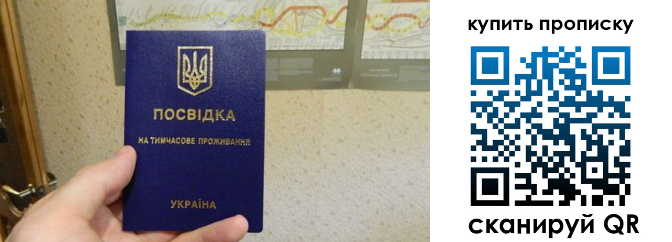 временная регистрация поиск в Барыше